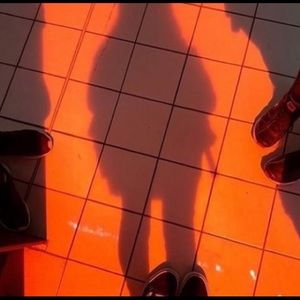 Meet your Posher, Phoebe